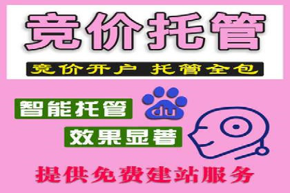 SEM代运营托管公司案例：策略解析